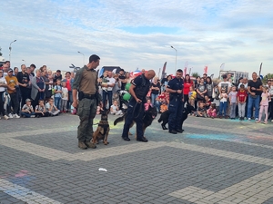 zdjęcie przewodników psów policyjnych oraz straży granicznej